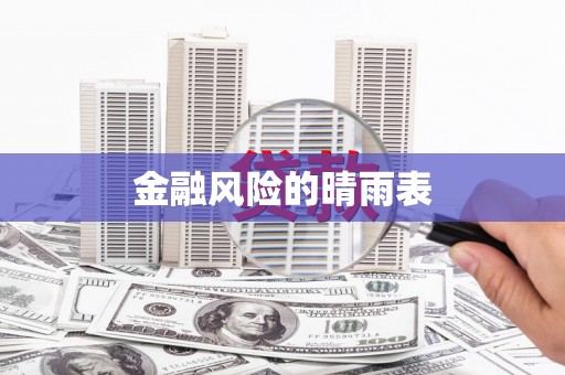 兰西金融风险的晴雨表