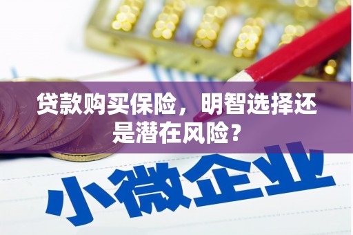 皇姑贷款购买保险，明智选择还是潜在风险？
