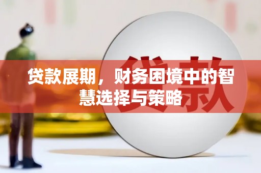 罗山贷款展期，财务困境中的智慧选择与策略