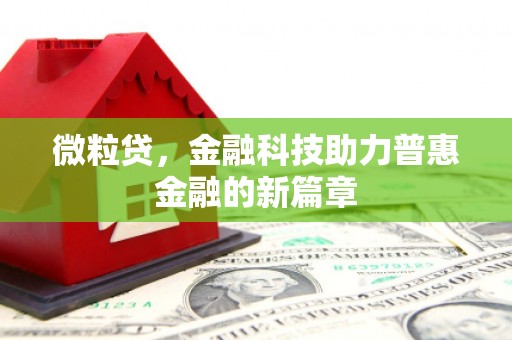 镇巴微粒贷，金融科技助力普惠金融的新篇章