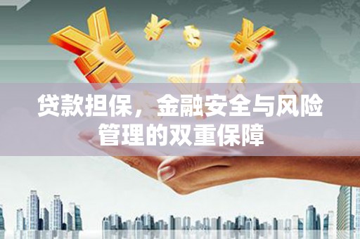 玄武贷款担保，金融安全与风险管理的双重保障