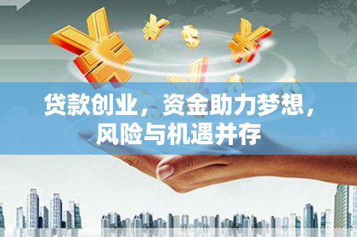 定安贷款创业，资金助力梦想，风险与机遇并存