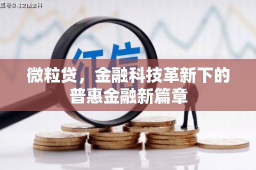 正宁微粒贷，金融科技革新下的普惠金融新篇章