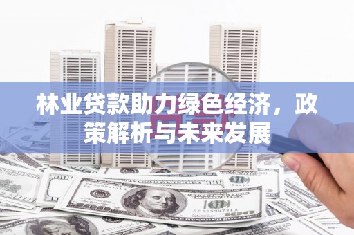 民和林业贷款助力绿色经济，政策解析与未来发展