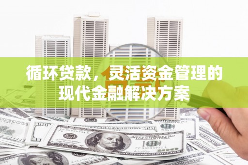 行唐循环贷款，灵活资金管理的现代金融解决方案