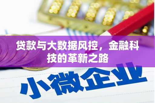 定陶贷款与大数据风控，金融科技的革新之路