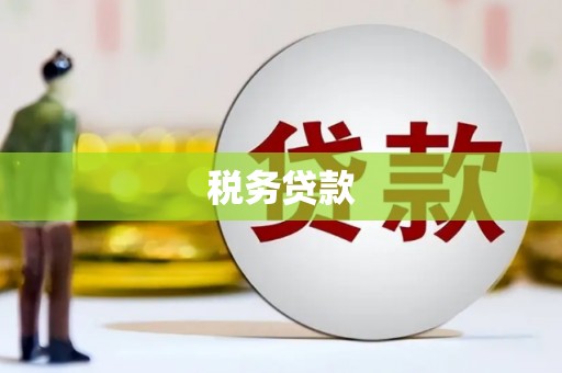 港南税务贷款