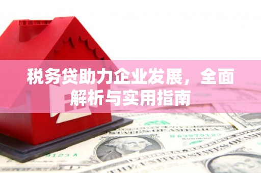 从化税务贷助力企业发展，全面解析与实用指南