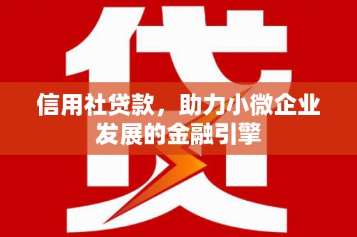 路环岛信用社贷款，助力小微企业发展的金融引擎