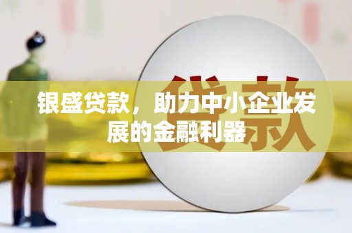 惠济银盛贷款，助力中小企业发展的金融利器