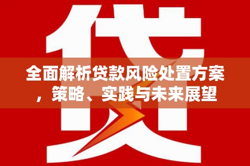毕节全面解析贷款风险处置方案，策略、实践与未来展望