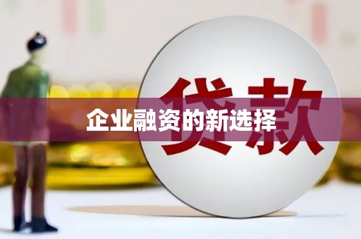 丹棱企业融资的新选择