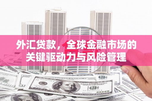 雁江外汇贷款，全球金融市场的关键驱动力与风险管理