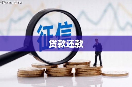 安乡贷款还款
