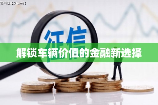 师宗解锁车辆价值的金融新选择