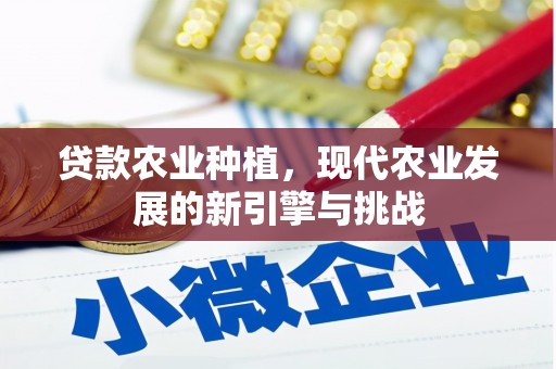 平乡贷款农业种植，现代农业发展的新引擎与挑战