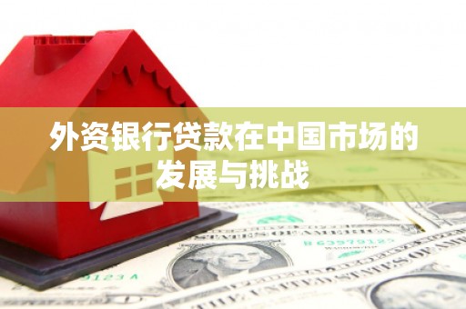 西昌外资银行贷款在中国市场的发展与挑战