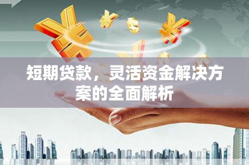 四会短期贷款，灵活资金解决方案的全面解析