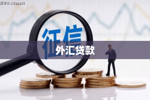 公馆外汇贷款