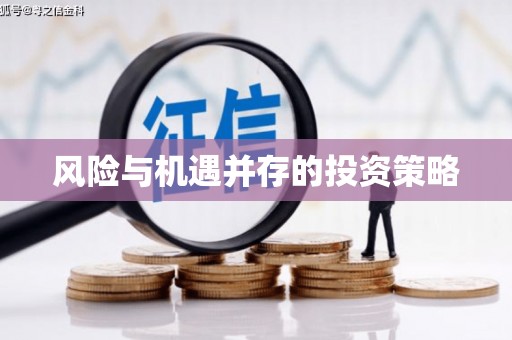 和美风险与机遇并存的投资策略