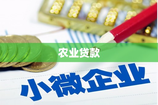 闵行农业贷款