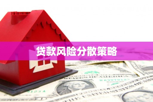 金乡贷款风险分散策略