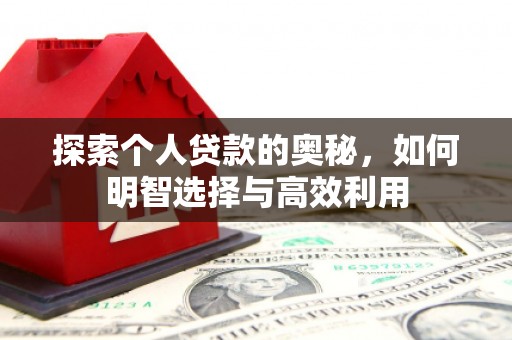 沙依巴克探索个人贷款的奥秘，如何明智选择与高效利用