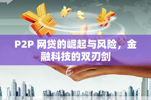 朱家尖P2P 网贷的崛起与风险，金融科技的双刃剑