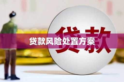 马尔康贷款风险处置方案