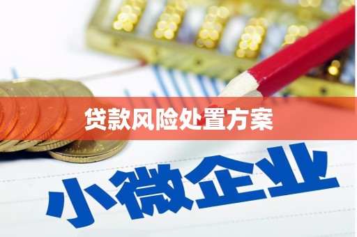 都昌贷款风险处置方案