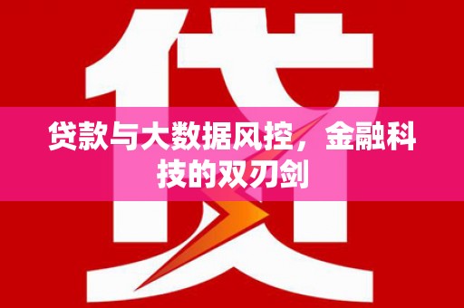 丰城贷款与大数据风控，金融科技的双刃剑