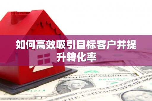 泰宁如何高效吸引目标客户并提升转化率