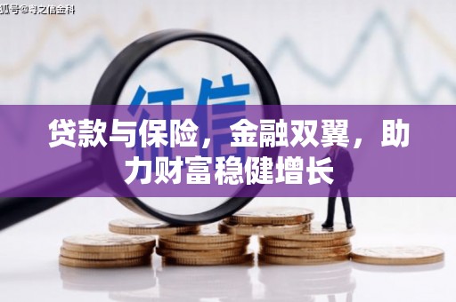 合山贷款与保险，金融双翼，助力财富稳健增长