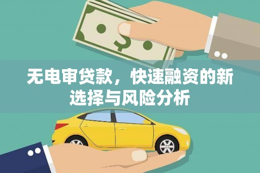 雁峰无电审贷款，快速融资的新选择与风险分析
