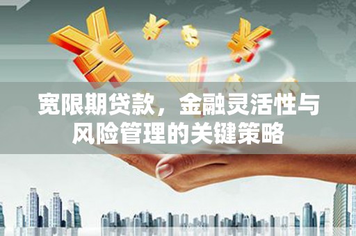 紫阳宽限期贷款，金融灵活性与风险管理的关键策略