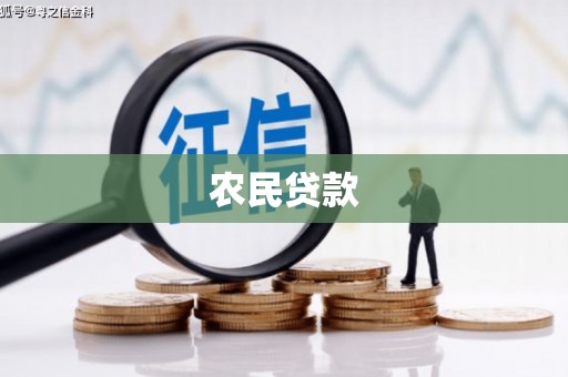 弋阳农民贷款