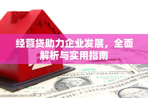 绥阳经营贷助力企业发展，全面解析与实用指南