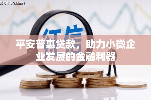 巍山平安普惠贷款，助力小微企业发展的金融利器