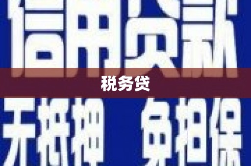 山阴税务贷