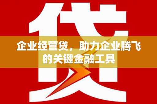 临沭企业经营贷，助力企业腾飞的关键金融工具