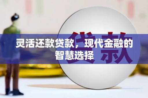 观音灵活还款贷款，现代金融的智慧选择