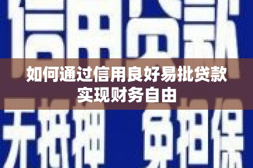 泸州如何通过信用良好易批贷款实现财务自由
