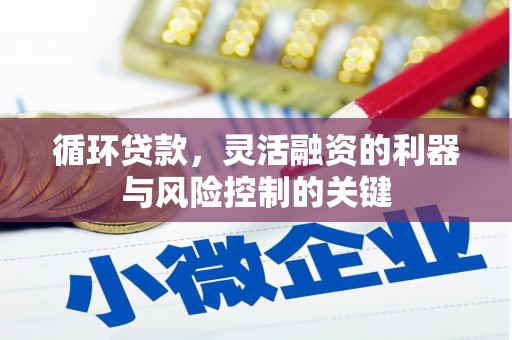 万全循环贷款，灵活融资的利器与风险控制的关键