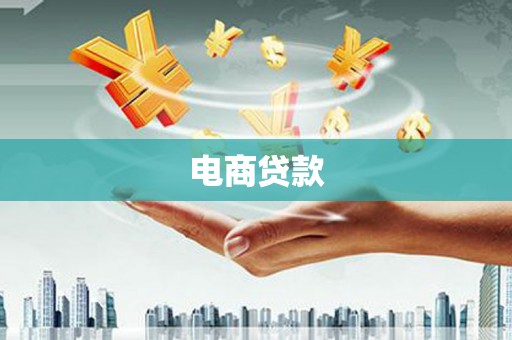昭化电商贷款