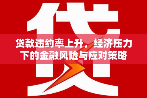孙吴贷款违约率上升，经济压力下的金融风险与应对策略