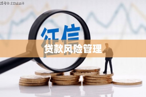 丹徒贷款风险管理