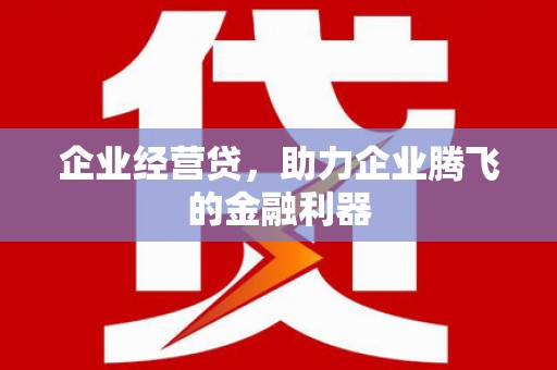 新界企业经营贷，助力企业腾飞的金融利器