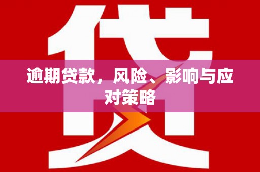 雷山逾期贷款，风险、影响与应对策略