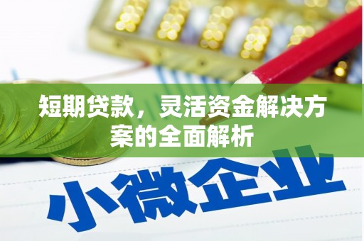 东明短期贷款，灵活资金解决方案的全面解析