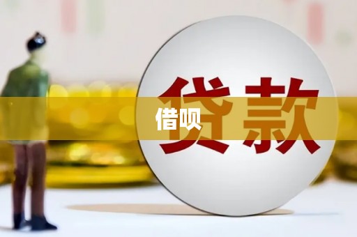 绥滨借呗